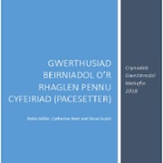 Critical App 400 Welsh.jpg