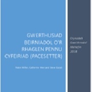 Critical App 180 Welsh.jpg