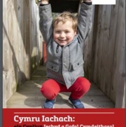 A Healthier Wales Welsh.JPG