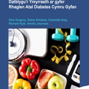AWDPP intervention full page 400 Welsh.jpg