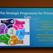 NPCC 19 Strategic P.jpg
