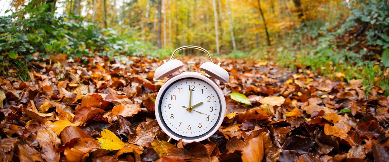 Alarm clock with autumn foliage, end of daylight saving time in autumn