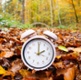 Alarm clock with autumn foliage, end of daylight saving time in autumn