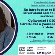 Information on DCW Webinar