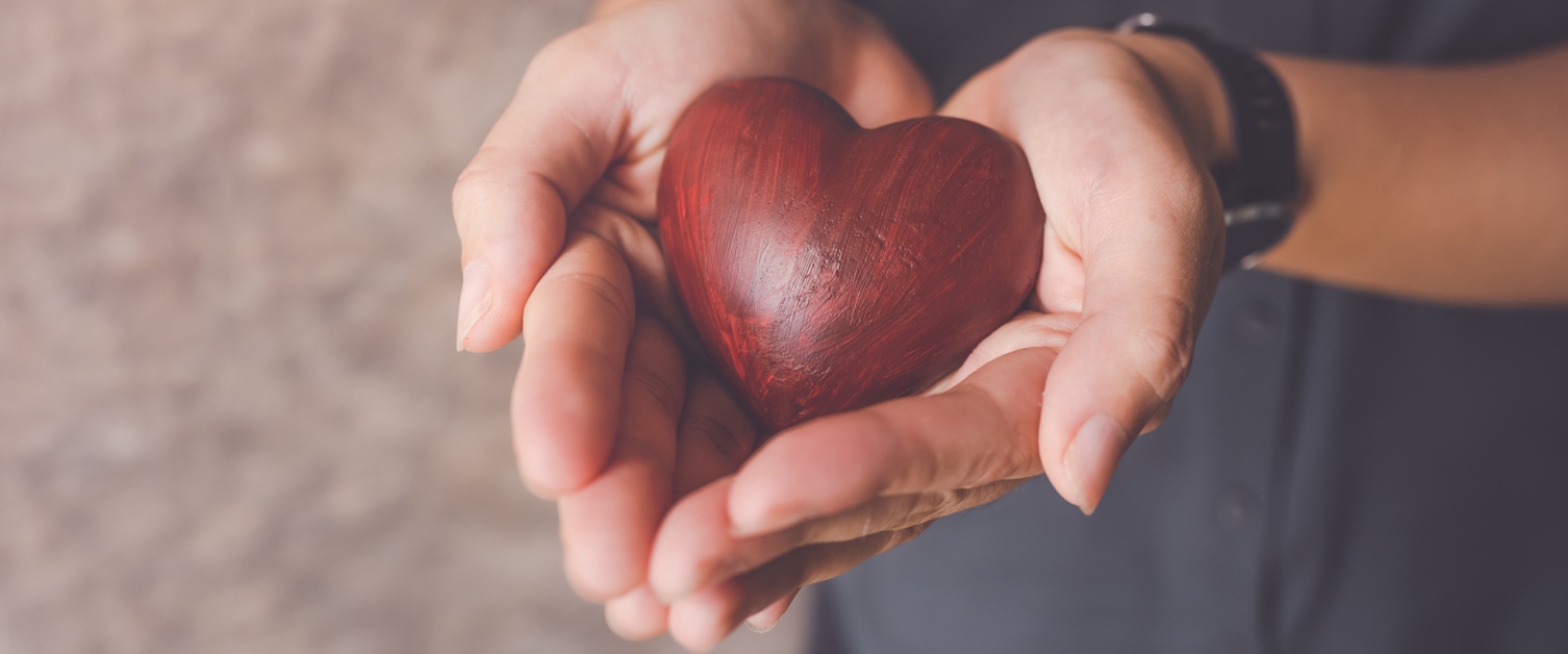 female hands holding red heart