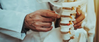 Image of Man Holding and Showing Vertebrae on Skeleton. Closeup View of Vertebrae on Skeleton