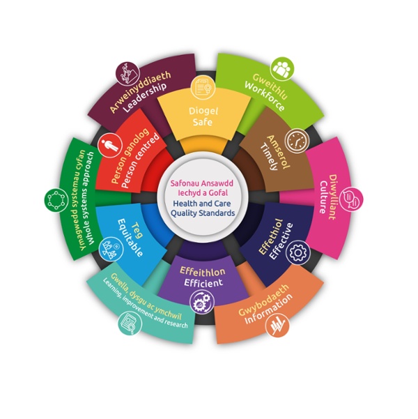 Visual representation of the Health and Care Quality Standards. These include six domains of quality which are Safe, Timely, Effective, Efficient, Equitable and Person Centre. Also included are the six quality enablers.