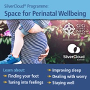 1 Space for Perinatal Wellbeing ENG.jpg
