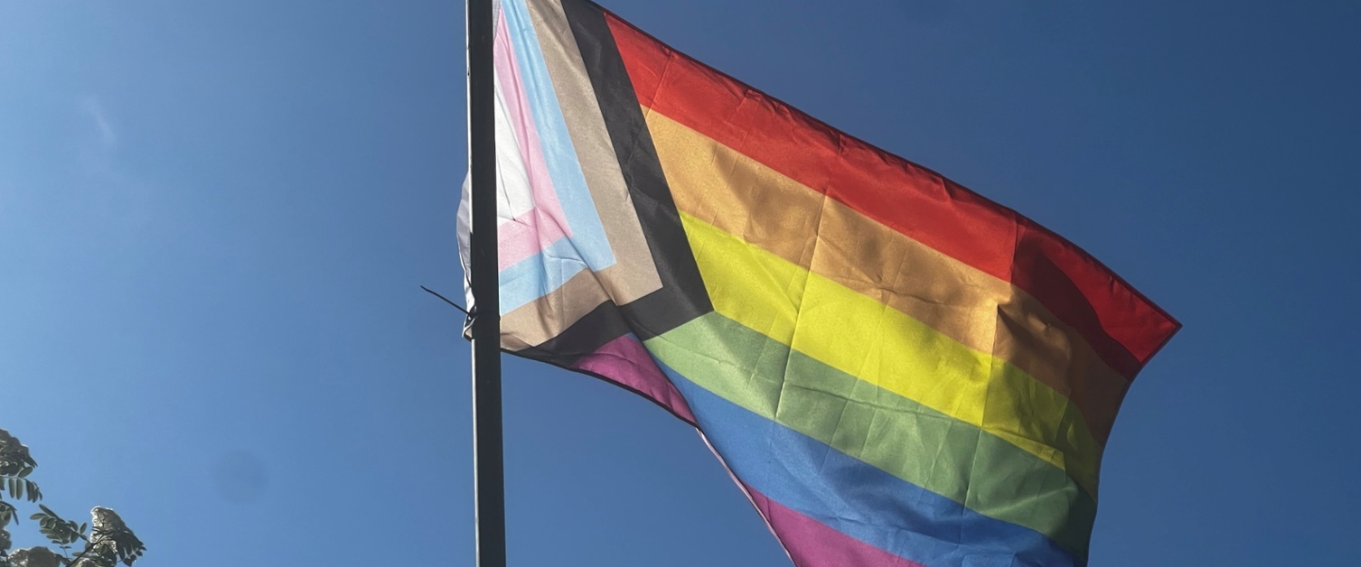Image of Progress Pride flag