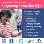2 IG-Social graphic-Anxious Teen.jpg