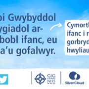 6 Twitter-Social graphic CYP Welsh.jpg