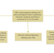 New early pregnancy dating scan.jpg