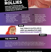 Rollies Leaflet.jpg