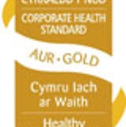CHS Gold Logo