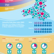 2013/2014 Infographic