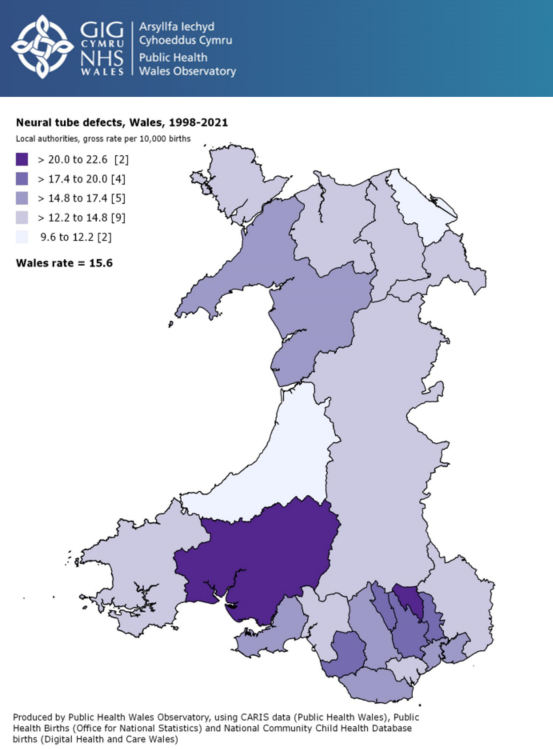 NTD Defects, Wales 1998-2021