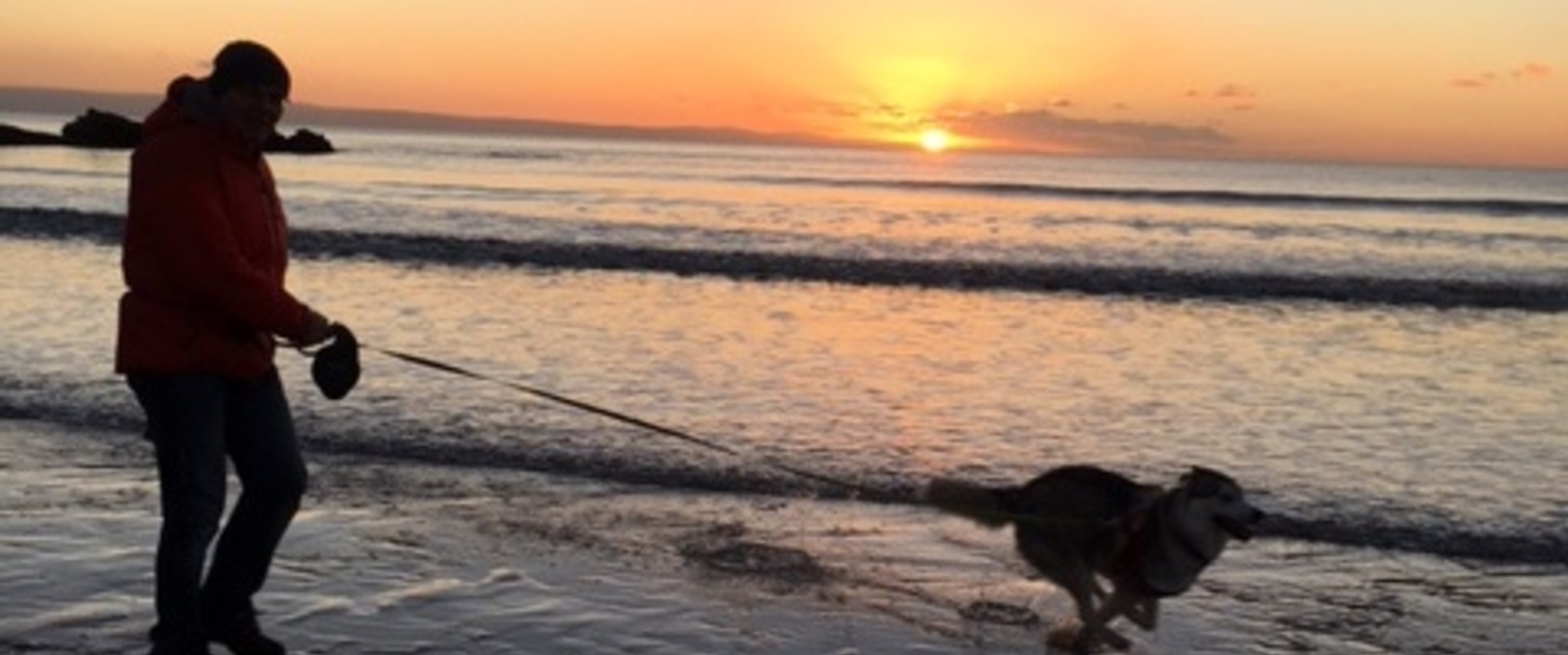 Man and dog on beach