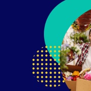 HWW Banner 4 English.jpg