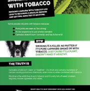 Cannabis Leaflet.jpg