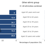 Figure 18 Other ethnic group population pyramid.png
