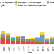 Meningo Type Chart 2022