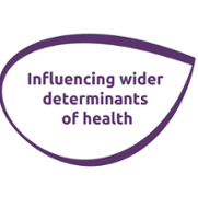 Priority 1 Influencing the wider determinants of health