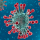 Covid -19 virus