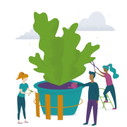Safety (Plant).png