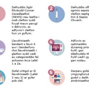 six step care bundle welsh.JPG