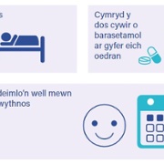 Common Side Effects 2 Cymraeg