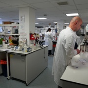 Lab