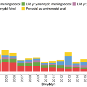 Meningo Type Chart 2022 Welsh