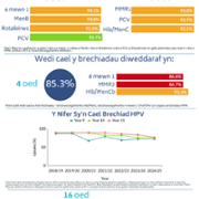 Annual COVER Infographic 2024/25 Welsh