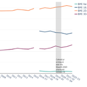 nsw_bmi_trend_welsh.png