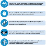 Five ways of Working (Cymraeg)