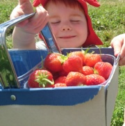 child and strawberries