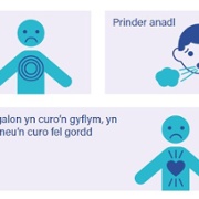 Seek Medical Advice Cymraeg