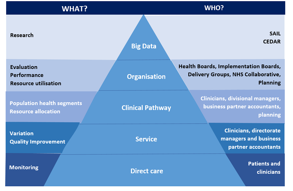 The diagram shows a pyramid of needs. It explains how data collected can be collated and used at various levels across the system – from direct patient care, through to service and population level analysis.