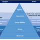 The diagram shows a pyramid of needs. It explains how data collected can be collated and used at various levels across the system – from direct patient care, through to service and population level analysis.