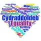Equality and diversity wordle image