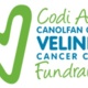 Velindre fundraising web page logo header image