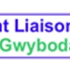 Patient Liaison Group logo