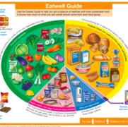 Eatwell-guide.jpg - Velindre University NHS Trust
