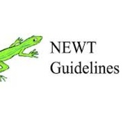 NEWT.jpg