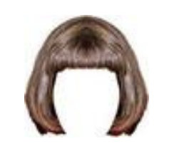 Image of a wig