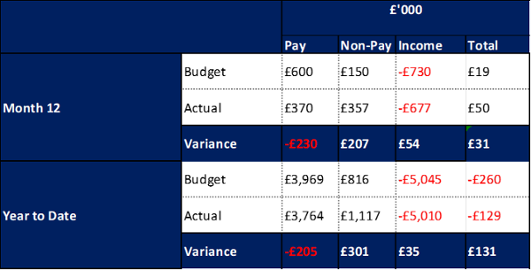 graphic showing budget versus actuals for year
