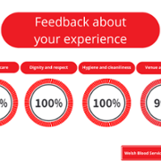 WBS Performance report December 2024 EN (3).png