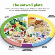 Eatwell-plate.jpg