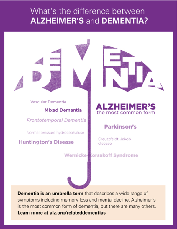 Differences between Dementia and Alzheimer poster image