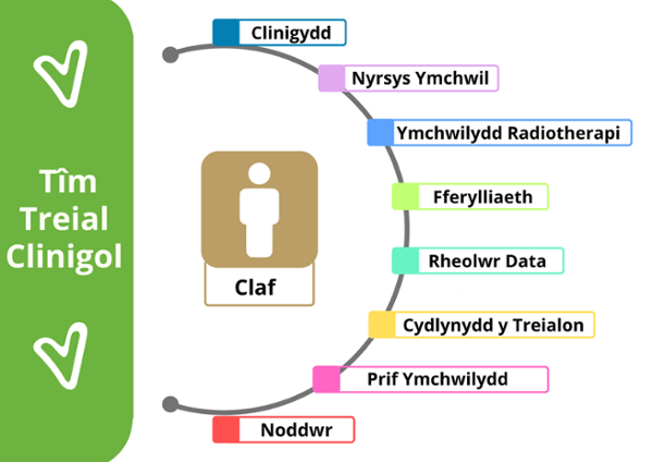 infographic with team of clinigydd, nyrsys ymchwil, ymchwilydd radiotherapi, fferylliaeth, rheolwr data, cydlynydd y treialon, prif ymchwilydd, noddwr